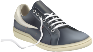 a shoe with laces